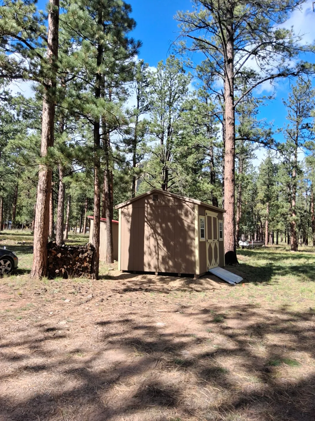 Side view of the finished tan shed with cream trim and gable vent, set on its gravel pad beside stacked firewood under tall pines