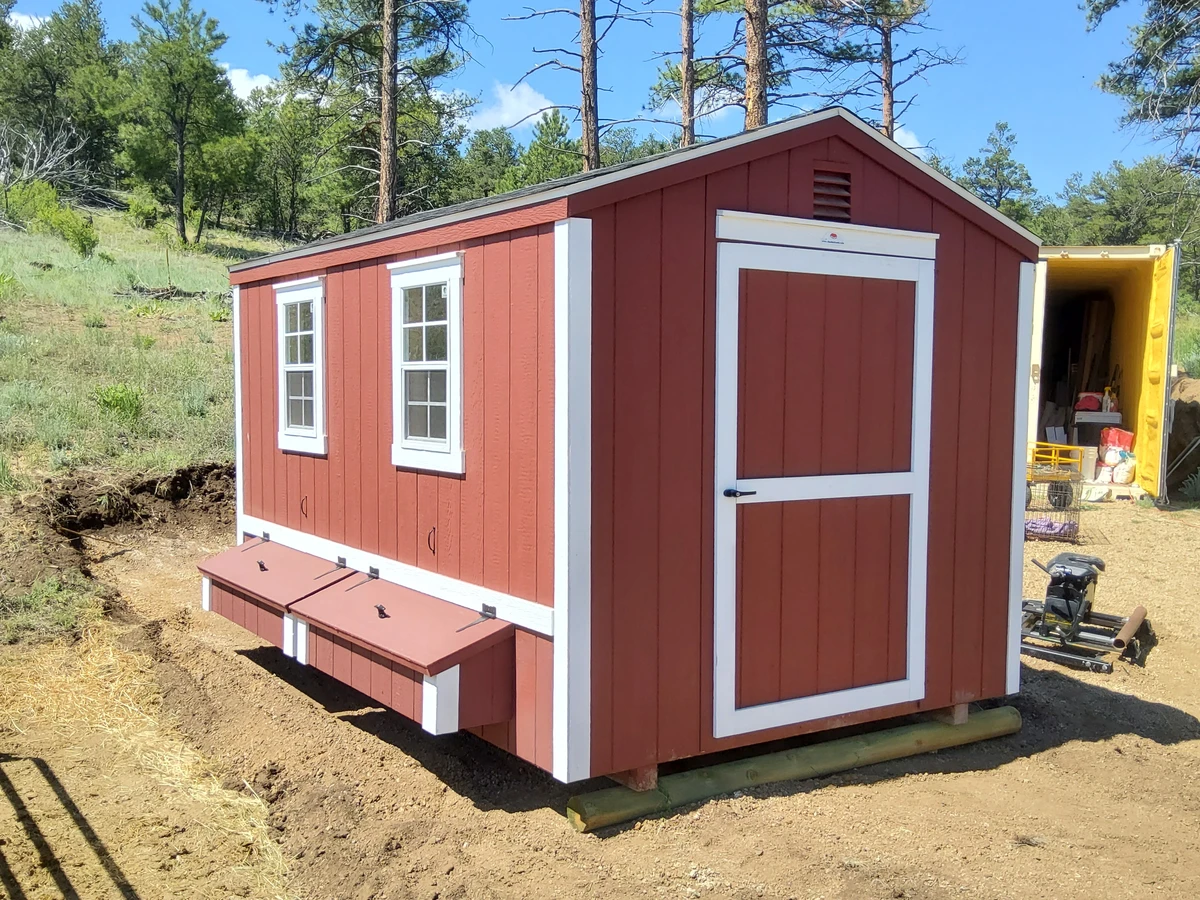 Chicken coop delivered in Colorado 5