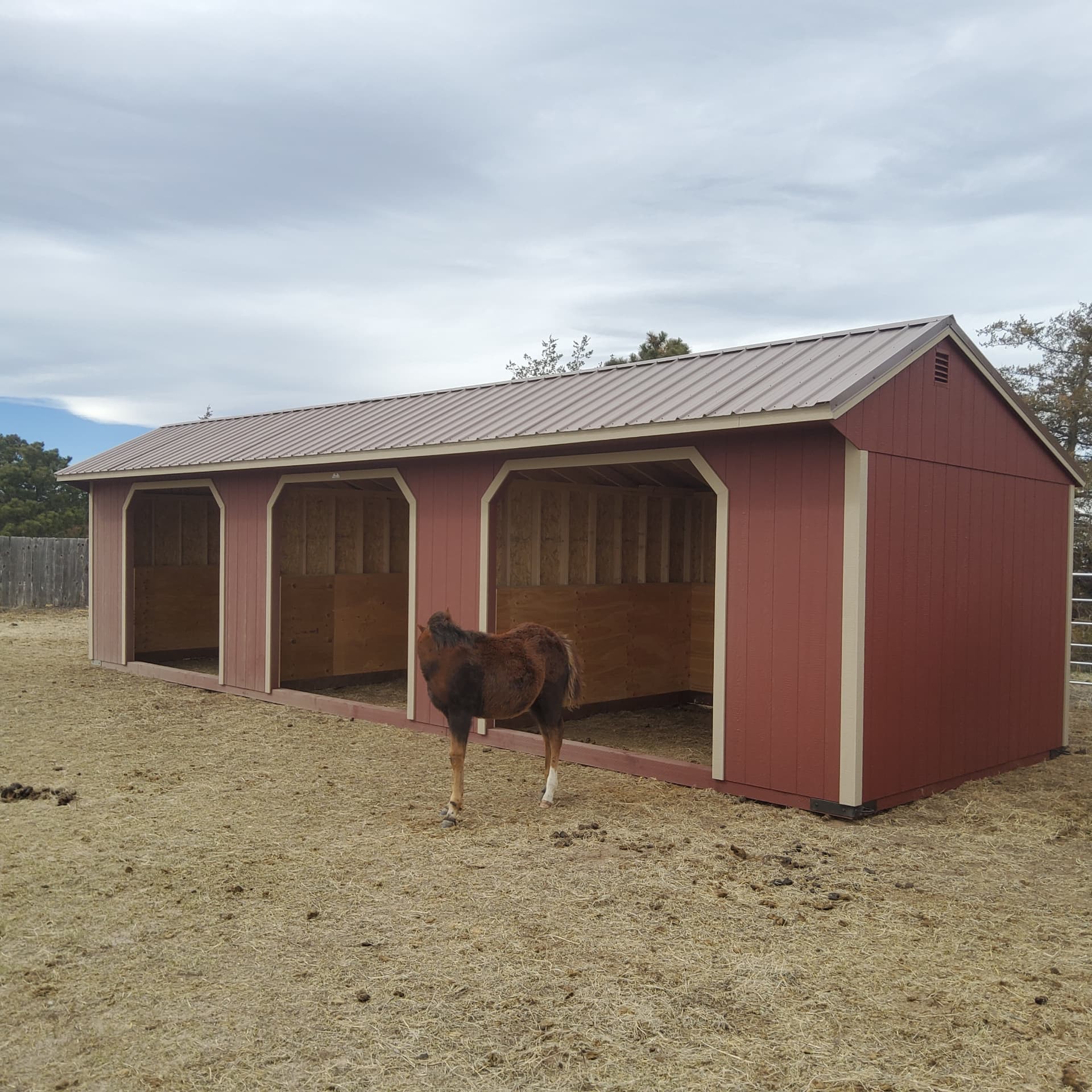 12x38 three-bay loafing shed and horse shelter delivered to a Colorado property