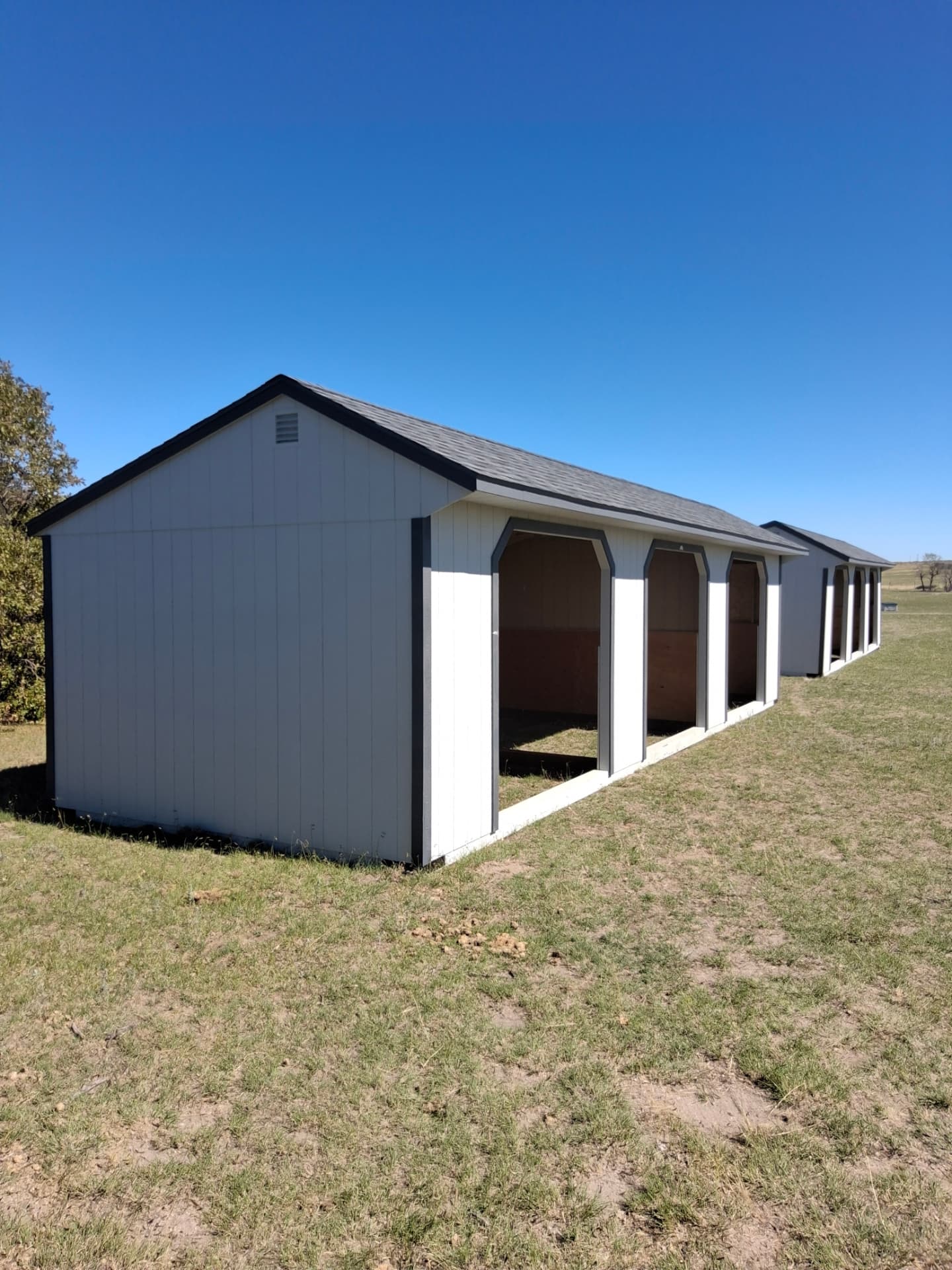 Angled view of portable 12x38 run-in sheds with open bays in Franktown Colorado