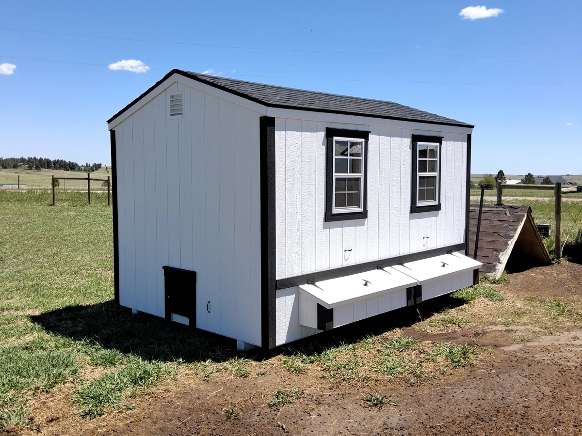 Chicken coop delivered in Colorado 8