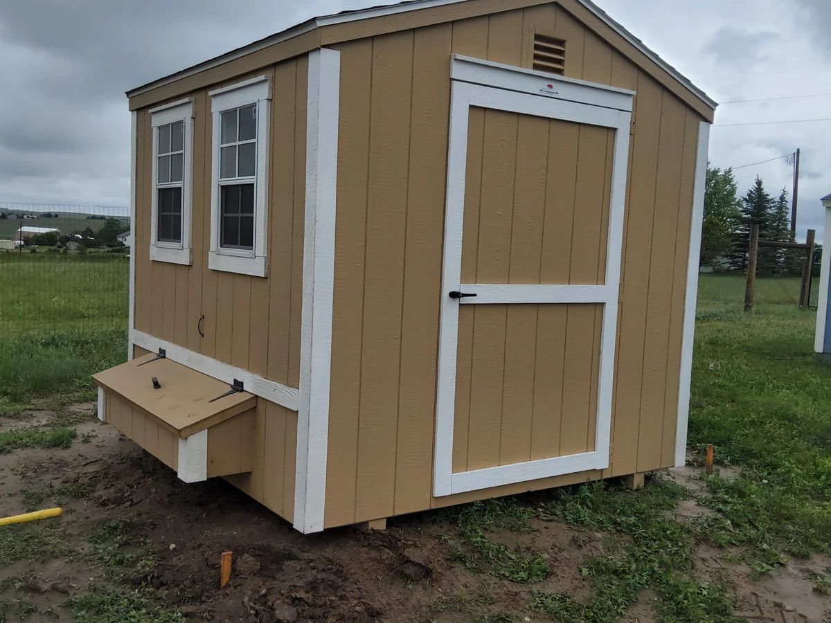 Chicken coop delivered in Colorado 4