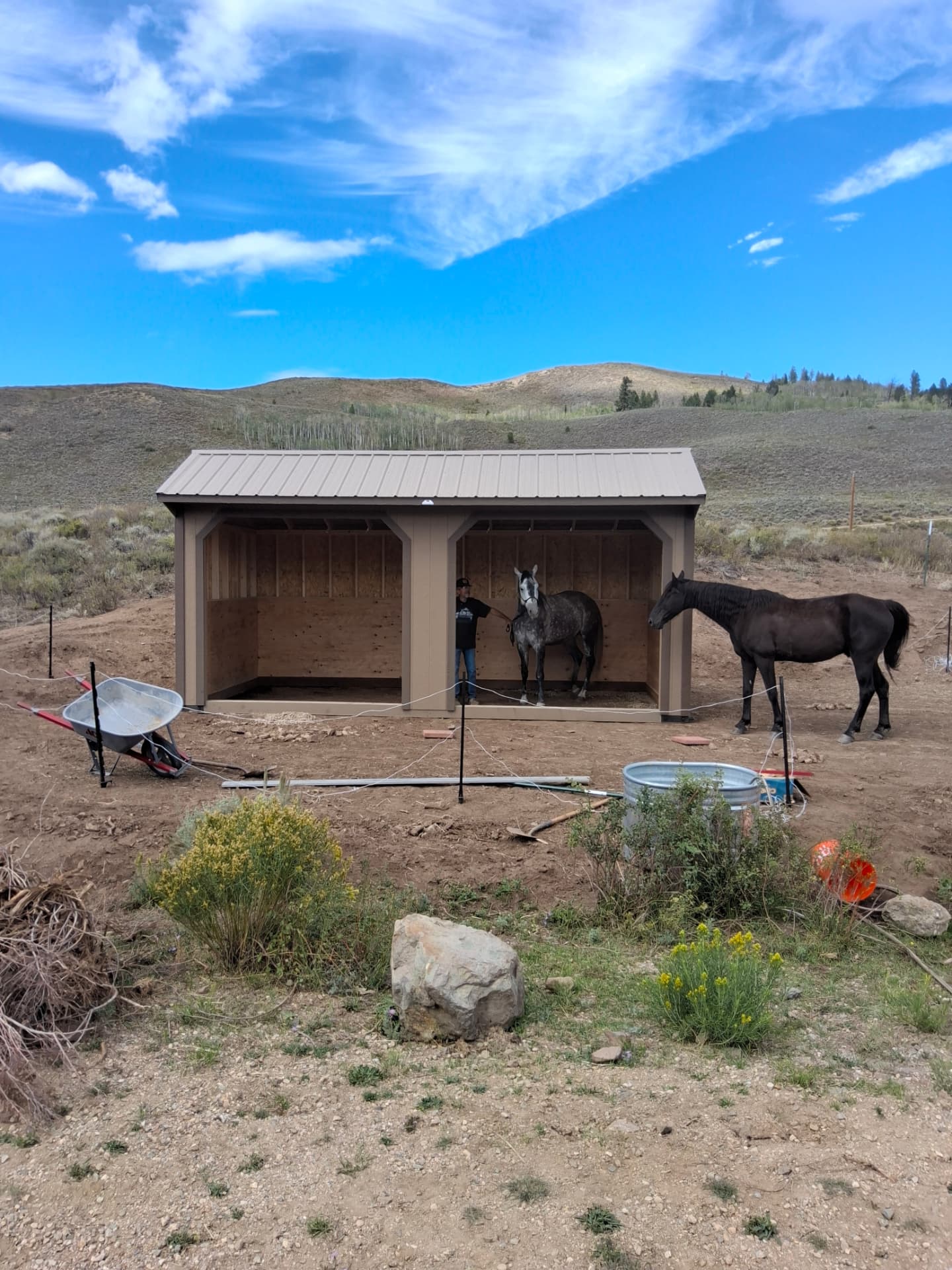 How Much Does a Loafing Shed Cost in Colorado? (2026 Pricing)