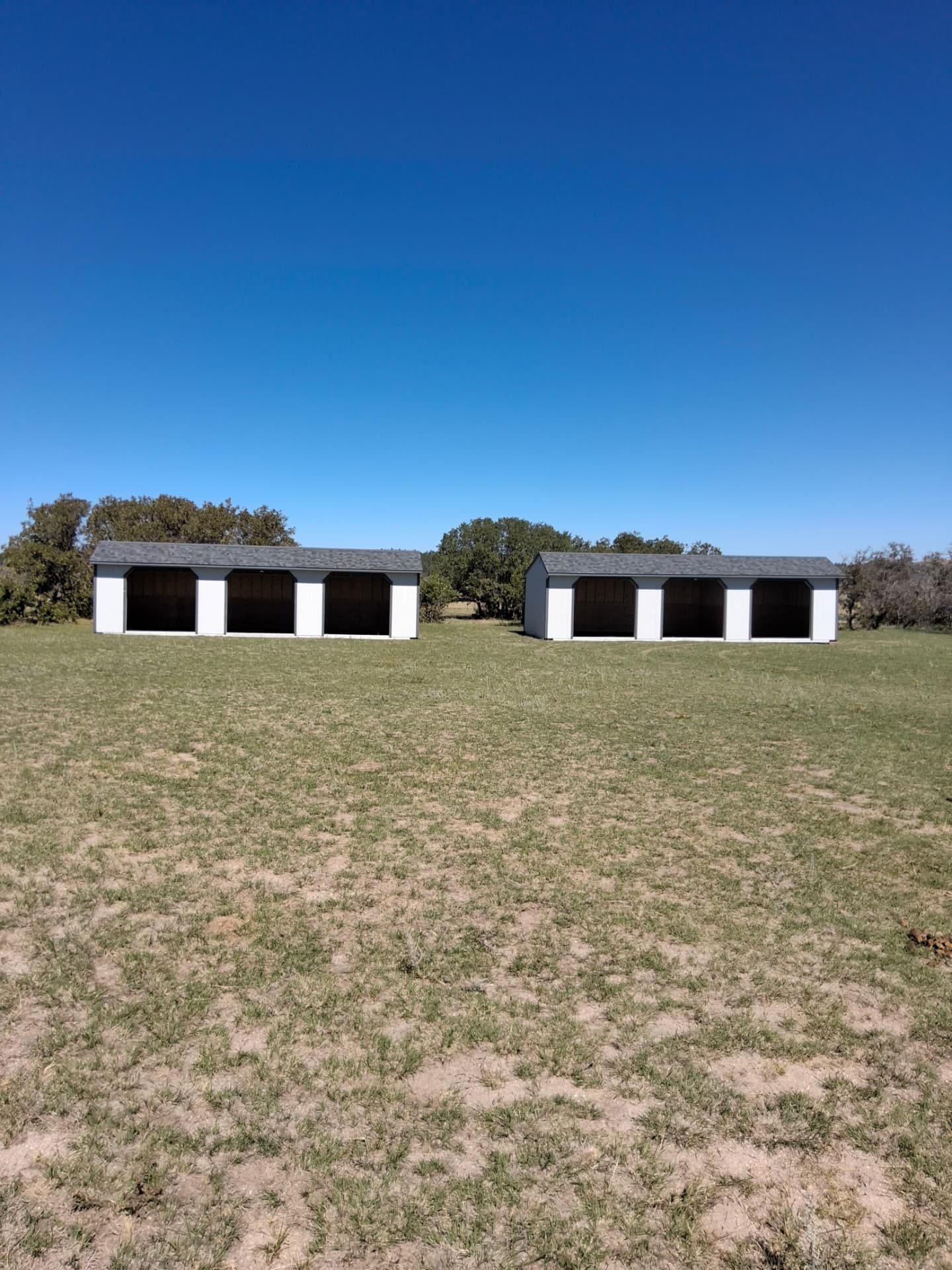 Loafing Sheds in Franktown, Colorado: Project Spotlight — The Shed Yard, Colorado