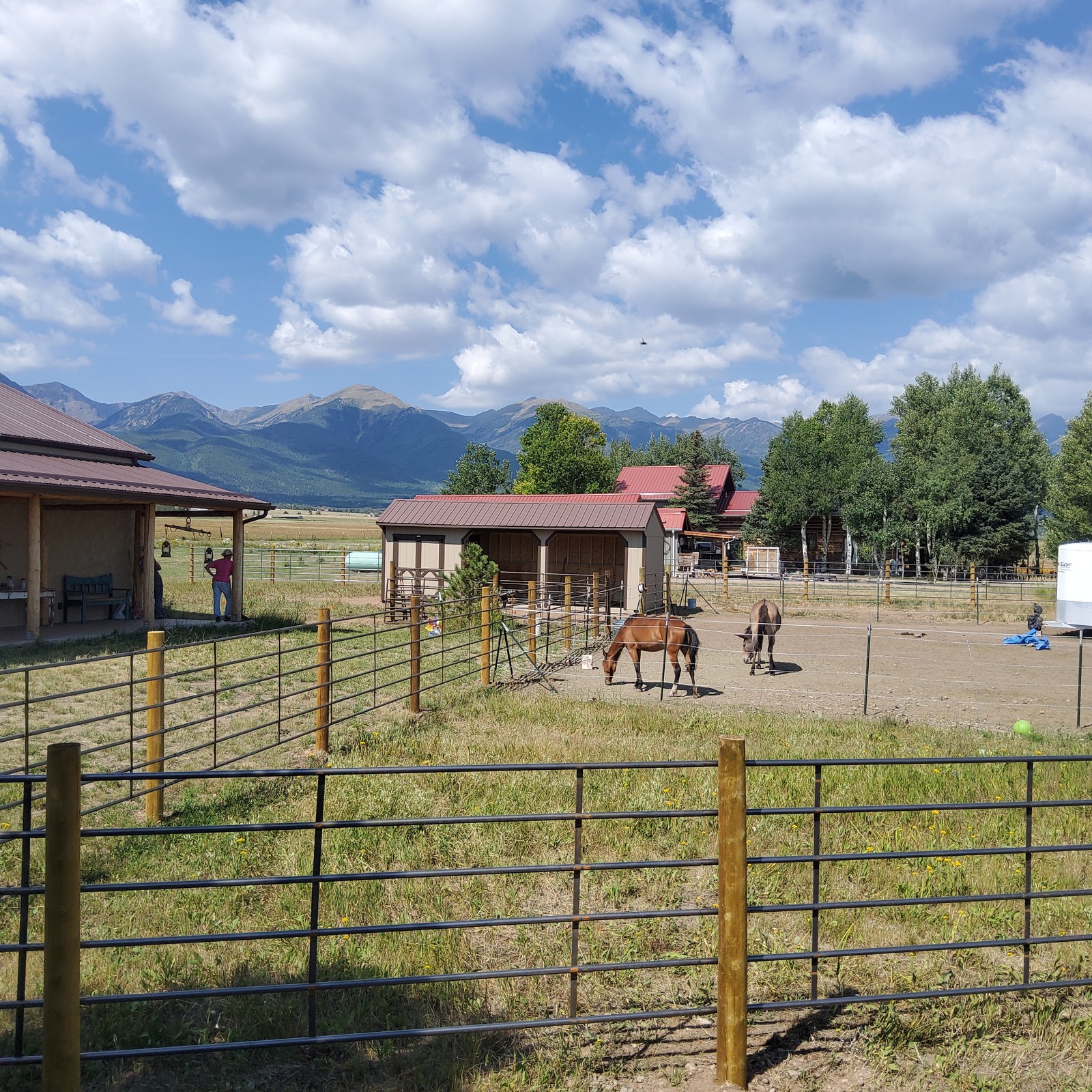 Colorado Loafing Sheds: The Ultimate Buying, Sizing & Weather-Proofing Guide — The Shed Yard, Colorado