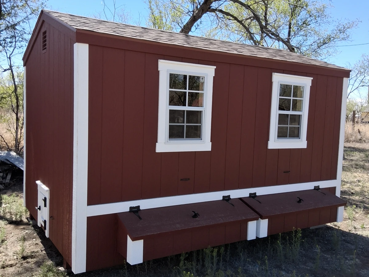 Chicken coop delivered in Colorado 7